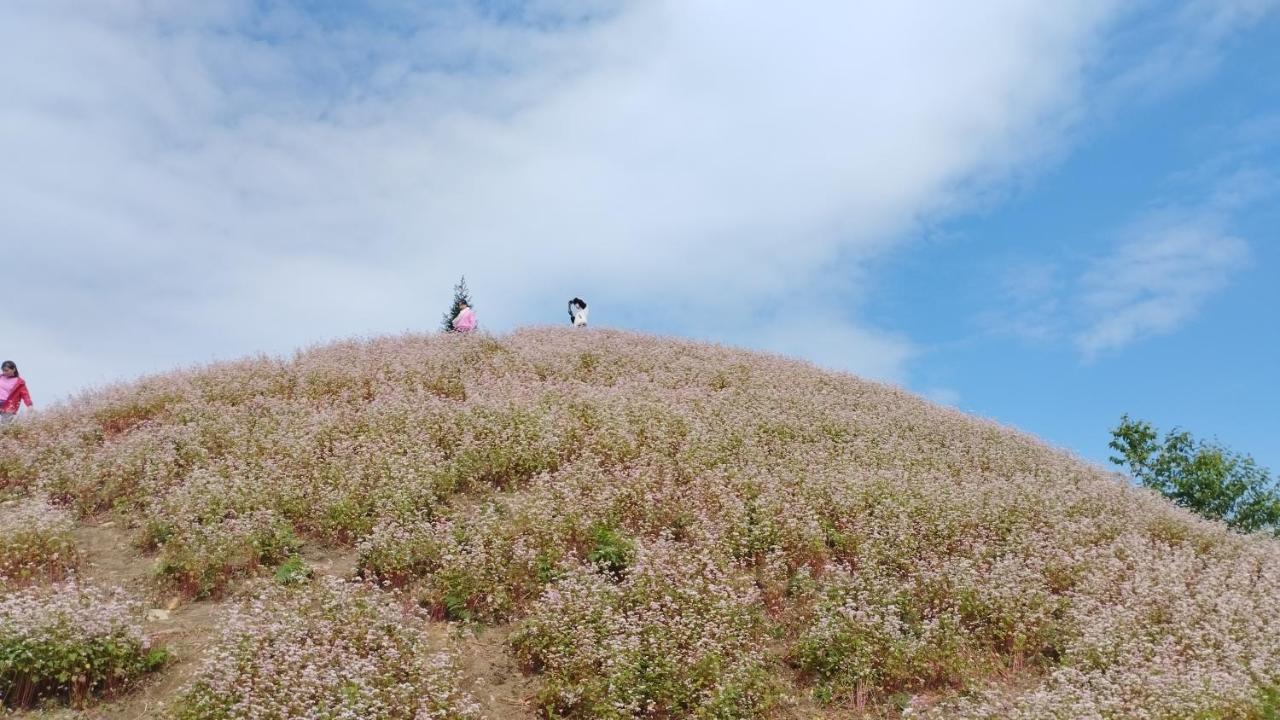 Huy Man Homestay Ha Giang Eksteriør bilde
