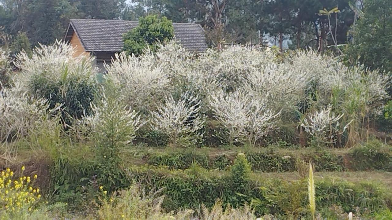 Huy Man Homestay Ha Giang Eksteriør bilde