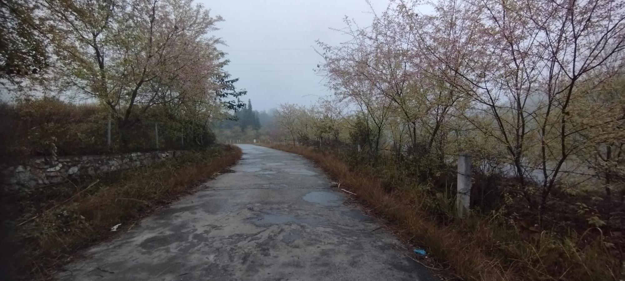 Huy Man Homestay Ha Giang Eksteriør bilde