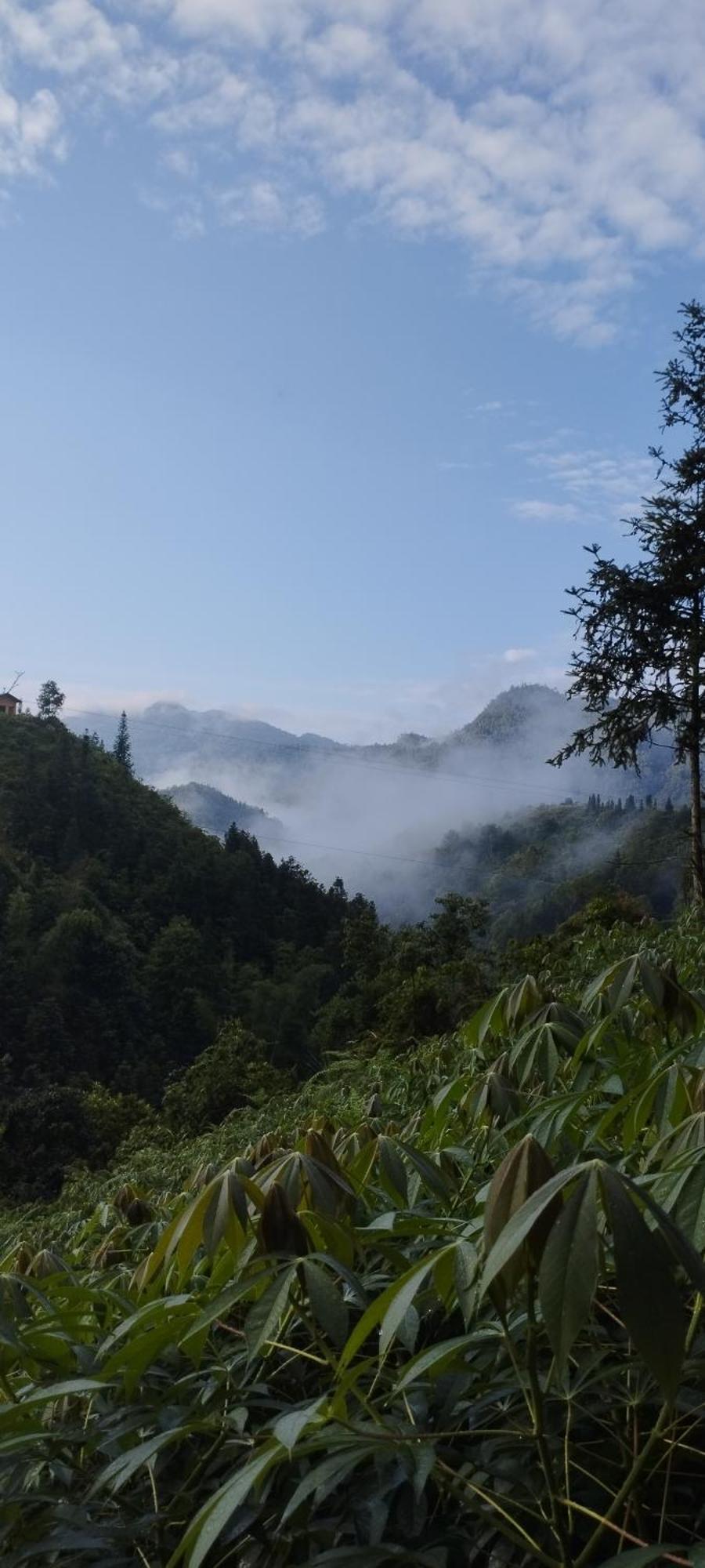 Huy Man Homestay Ha Giang Eksteriør bilde